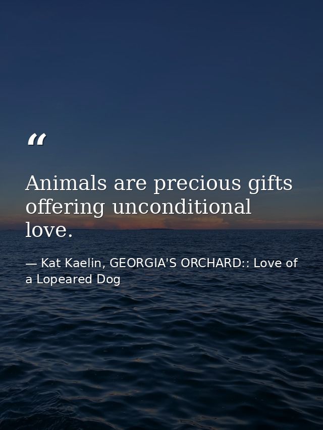 Animals are precious gifts offering unconditional love. — Kat Kaelin, GEORGIA'S ORCHARD:: Love of a Lopeared Dog