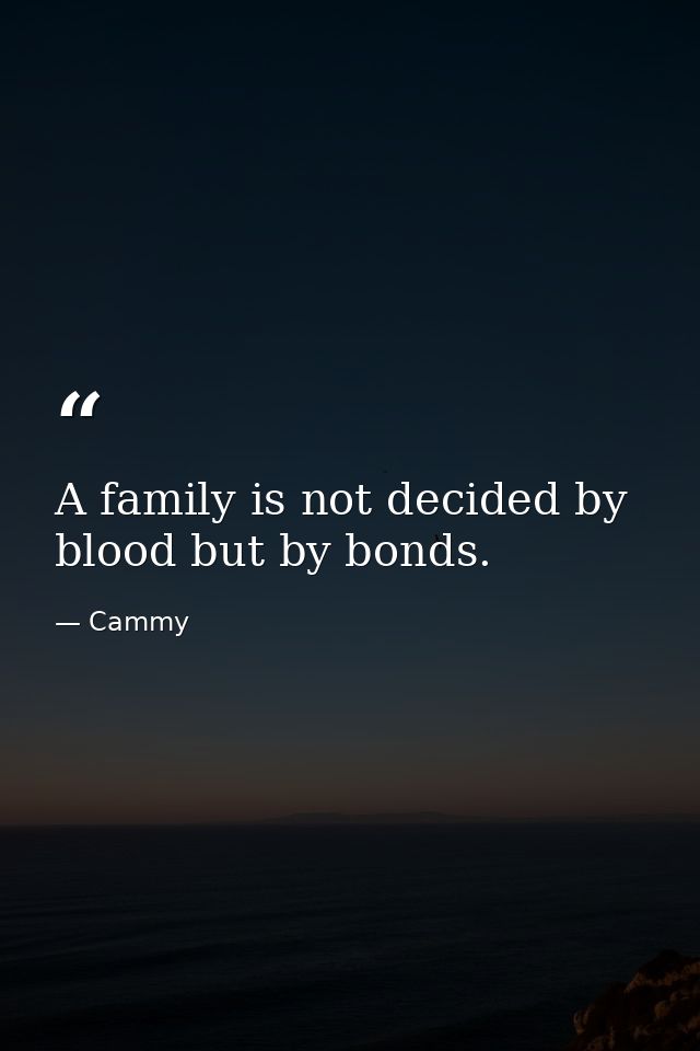 A family is not decided by blood but by bonds. — Cammy