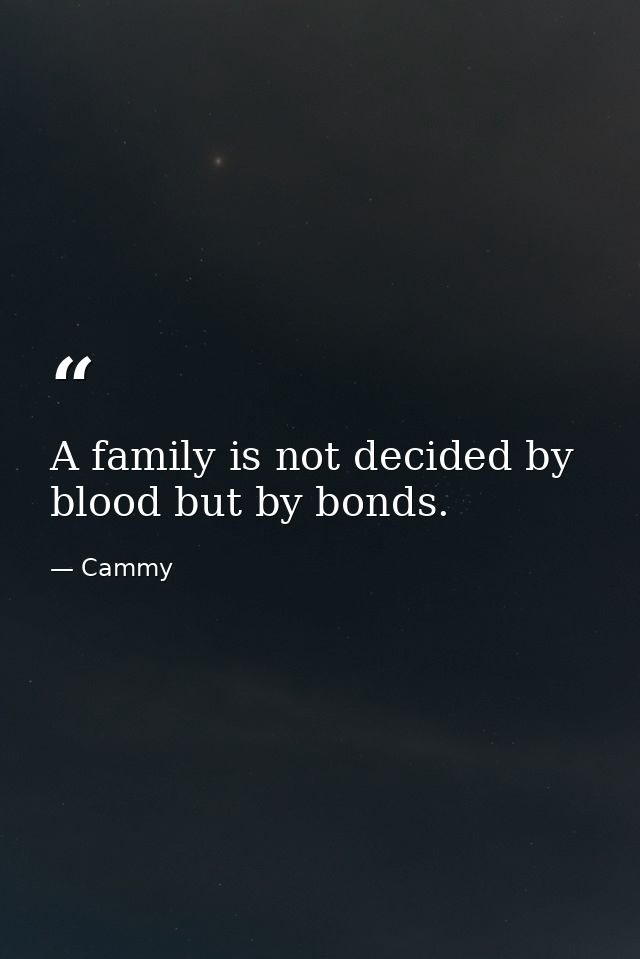A family is not decided by blood but by bonds. — Cammy