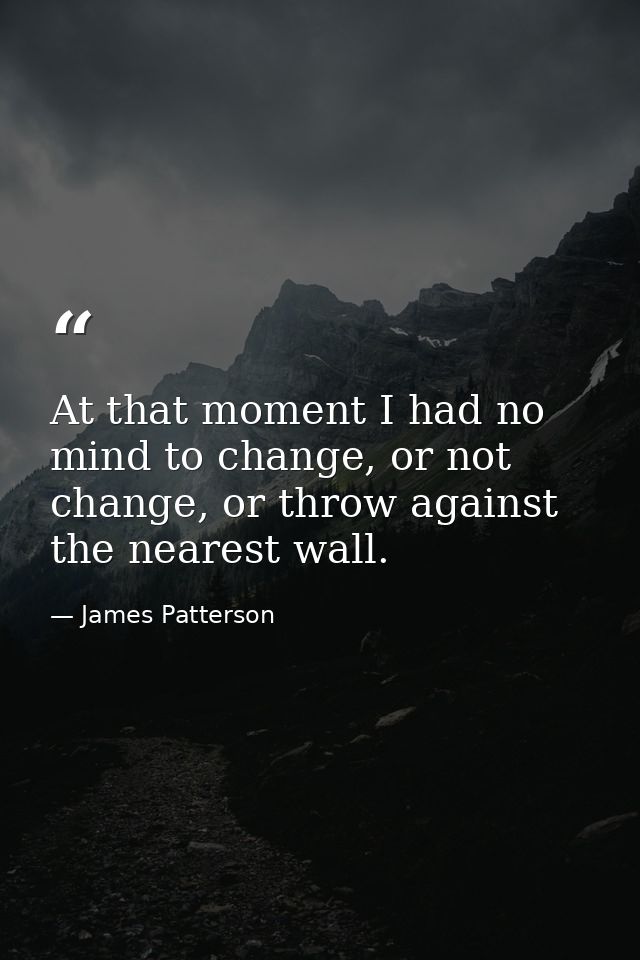 At that moment I had no mind to change, or not change, or throw against the nearest wall. — James Patterson