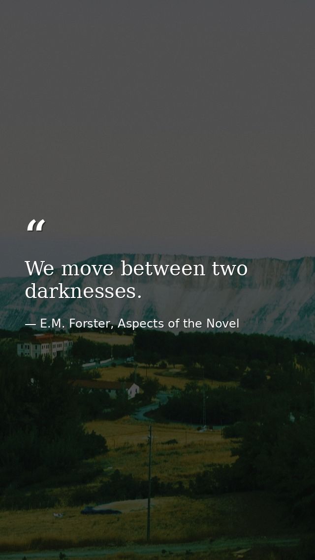 We move between two darknesses. — E.M. Forster, Aspects of the Novel