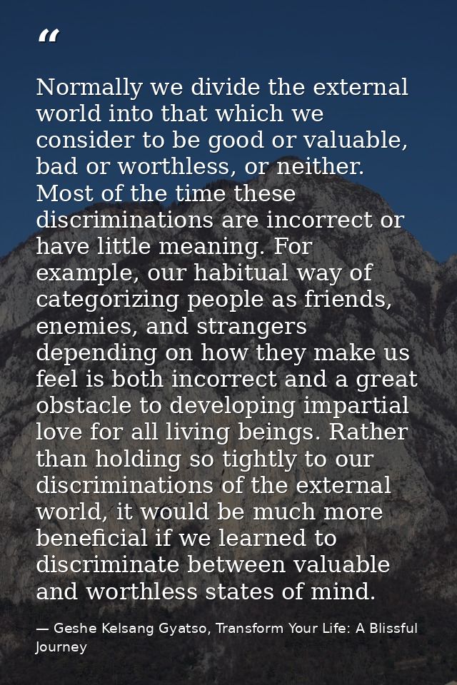 Normally we divide the external world into that which we consider to be good or valuable, bad or worthless, or neither.  — Geshe Kelsang Gyatso, Transform Your Life: A Blissful Journey