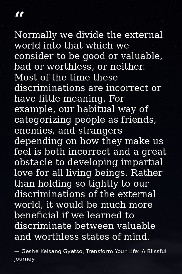 Normally we divide the external world into that which we consider to be good or valuable, bad or worthless, or neither.  — Geshe Kelsang Gyatso, Transform Your Life: A Blissful Journey
