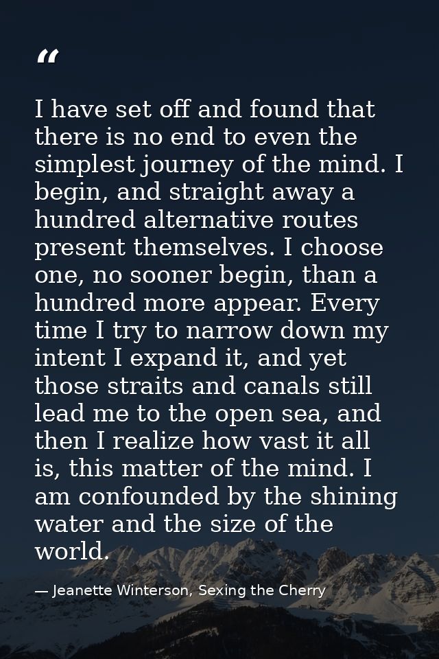 I have set off and found that there is no end to even the simplest journey of the mind. I begin, and straight away a hun — Jeanette Winterson, Sexing the Cherry