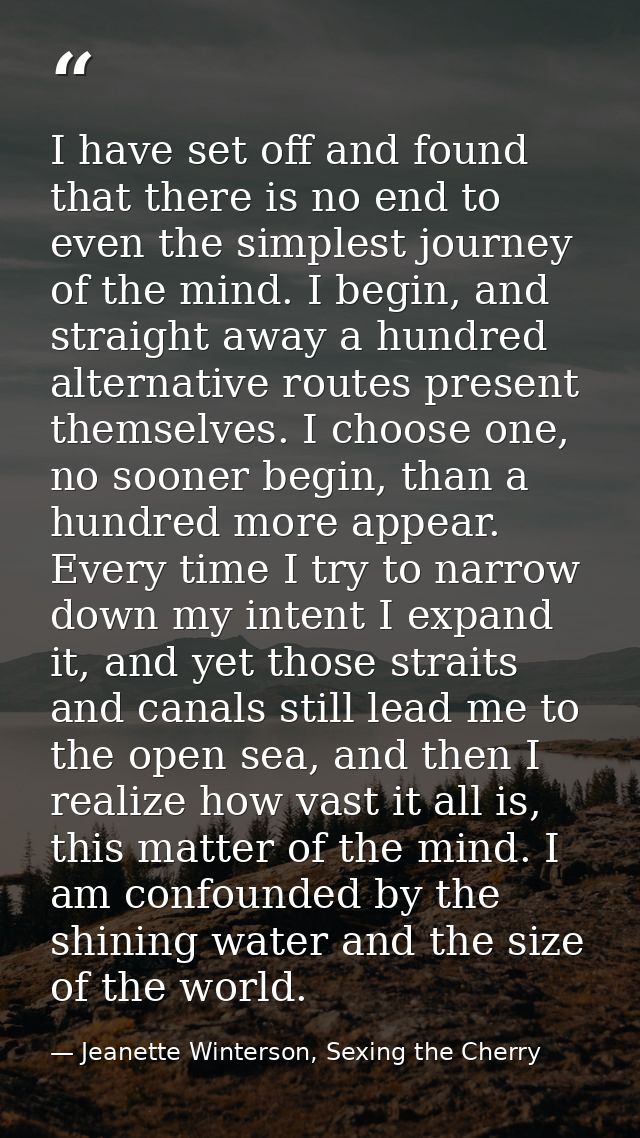 I have set off and found that there is no end to even the simplest journey of the mind. I begin, and straight away a hun — Jeanette Winterson, Sexing the Cherry