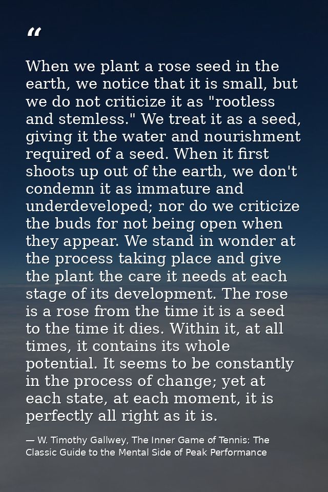 When we plant a rose seed in the earth, we notice that it is small, but we do not criticize it as "rootless and stemless — W. Timothy Gallwey, The Inner Game of Tennis: The Classic Guide to the Mental Side of Peak Performance