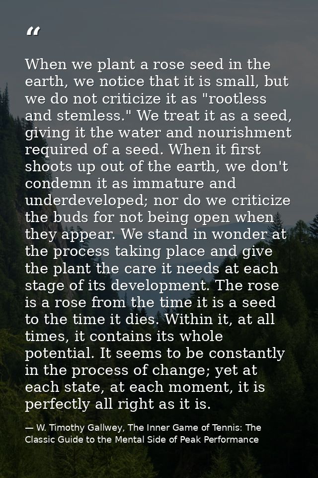 When we plant a rose seed in the earth, we notice that it is small, but we do not criticize it as "rootless and stemless — W. Timothy Gallwey, The Inner Game of Tennis: The Classic Guide to the Mental Side of Peak Performance