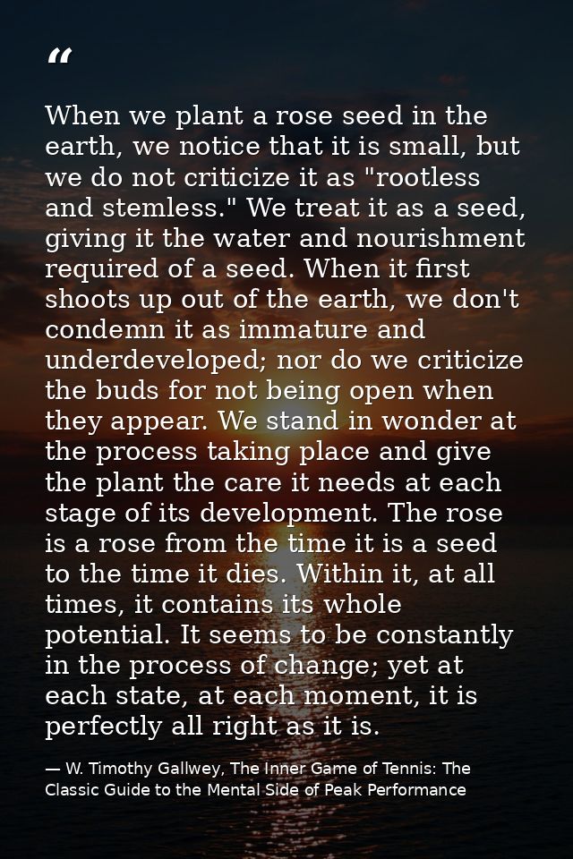 When we plant a rose seed in the earth, we notice that it is small, but we do not criticize it as "rootless and stemless — W. Timothy Gallwey, The Inner Game of Tennis: The Classic Guide to the Mental Side of Peak Performance