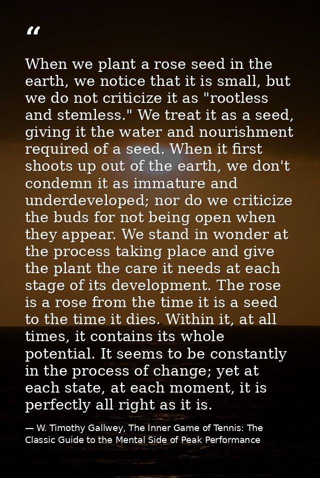 When we plant a rose seed in the earth, we notice that it is small, but we do not criticize it as "rootless and stemless — W. Timothy Gallwey, The Inner Game of Tennis: The Classic Guide to the Mental Side of Peak Performance