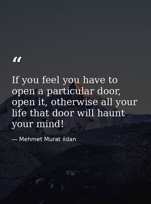 If you feel you have to open a particular door, open it, otherwise all your life that door will haunt your mind! — Mehmet Murat ildan