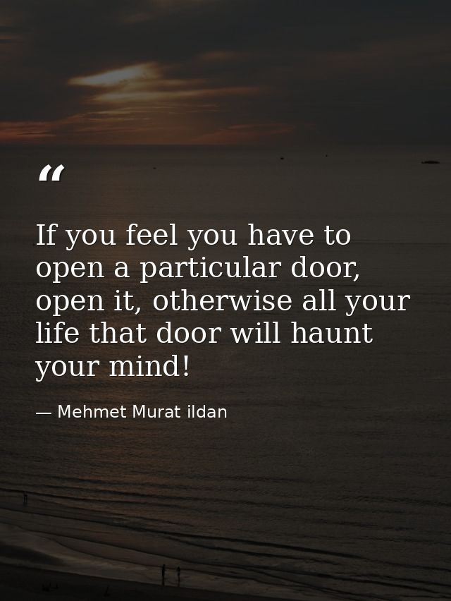 If you feel you have to open a particular door, open it, otherwise all your life that door will haunt your mind! — Mehmet Murat ildan