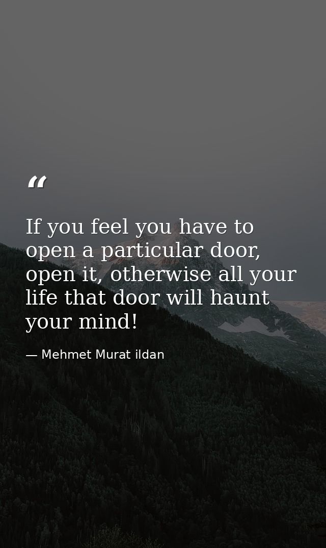 If you feel you have to open a particular door, open it, otherwise all your life that door will haunt your mind! — Mehmet Murat ildan