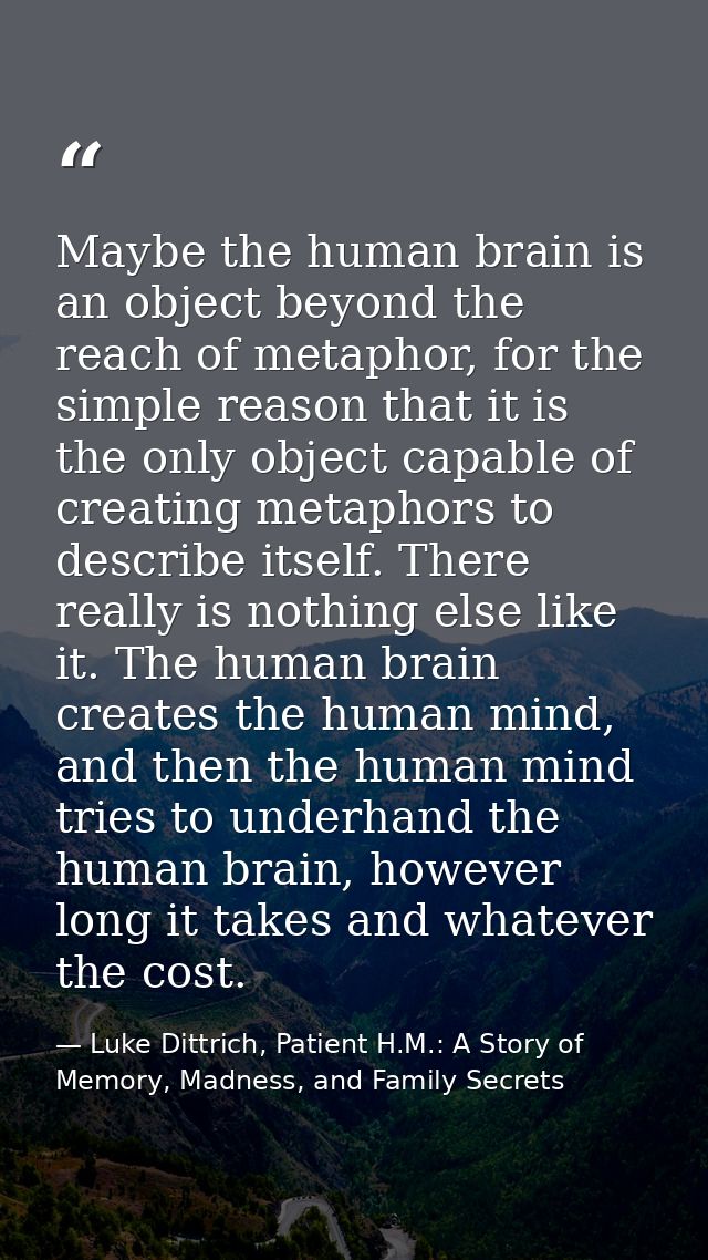 Maybe the human brain is an object beyond the reach of metaphor, for the simple reason that it is the only object capabl — Luke Dittrich, Patient H.M.: A Story of Memory, Madness, and Family Secrets