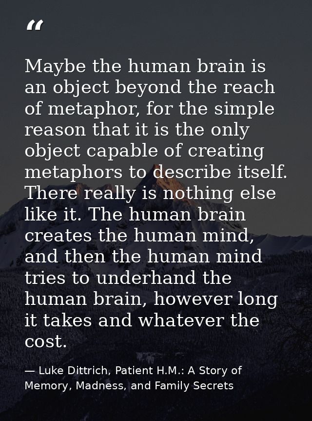 Maybe the human brain is an object beyond the reach of metaphor, for the simple reason that it is the only object capabl — Luke Dittrich, Patient H.M.: A Story of Memory, Madness, and Family Secrets