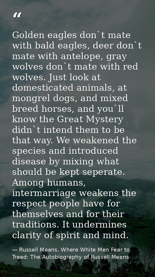 Golden eagles don`t mate with bald eagles, deer don`t mate with antelope, gray wolves don`t mate with red wolves. Just l — Russell Means, Where White Men Fear to Tread: The Autobiography of Russell Means