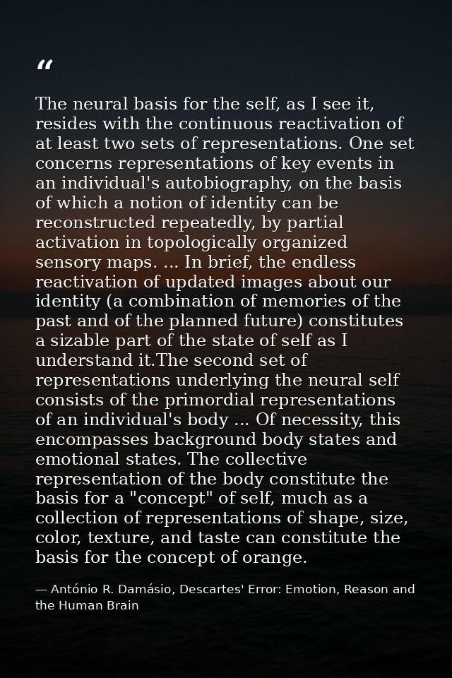 The neural basis for the self, as I see it, resides with the continuous reactivation of at least two sets of representat — António R. Damásio, Descartes' Error: Emotion, Reason and the Human Brain