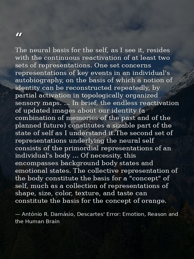 The neural basis for the self, as I see it, resides with the continuous reactivation of at least two sets of representat — António R. Damásio, Descartes' Error: Emotion, Reason and the Human Brain