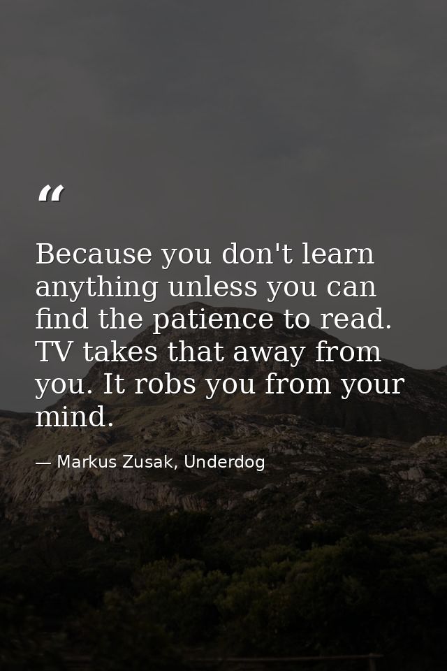 Because you don't learn anything unless you can find the patience to read. TV takes that away from you. It robs you from — Markus Zusak, Underdog