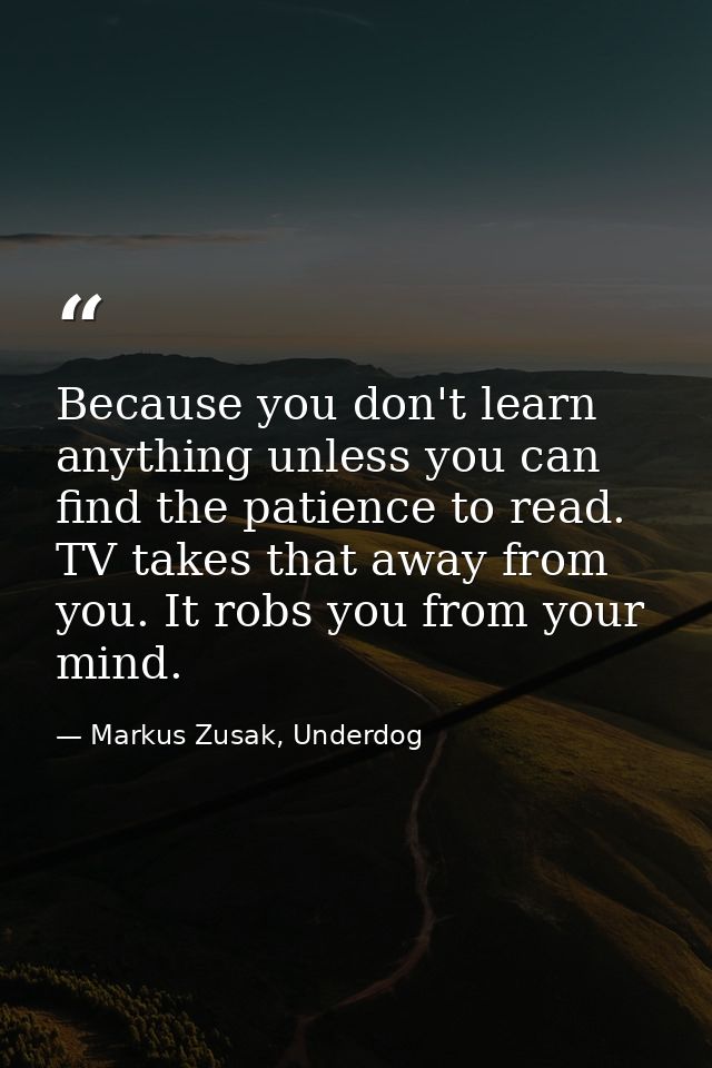 Because you don't learn anything unless you can find the patience to read. TV takes that away from you. It robs you from — Markus Zusak, Underdog