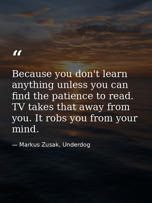 Because you don't learn anything unless you can find the patience to read. TV takes that away from you. It robs you from — Markus Zusak, Underdog