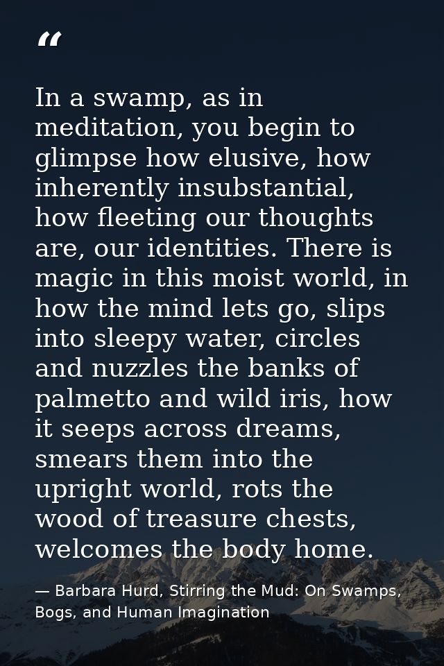 In a swamp, as in meditation, you begin to glimpse how elusive, how inherently insubstantial, how fleeting our thoughts  — Barbara Hurd, Stirring the Mud: On Swamps, Bogs, and Human Imagination