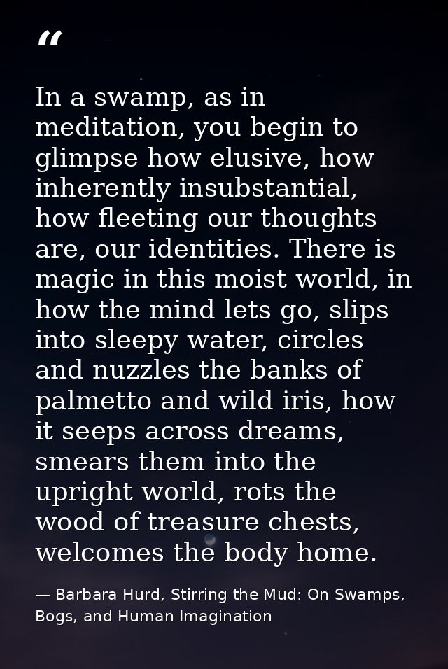 In a swamp, as in meditation, you begin to glimpse how elusive, how inherently insubstantial, how fleeting our thoughts  — Barbara Hurd, Stirring the Mud: On Swamps, Bogs, and Human Imagination