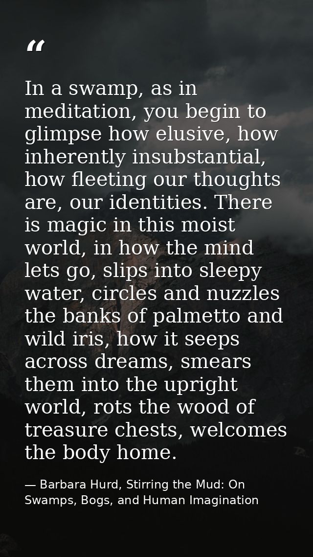 In a swamp, as in meditation, you begin to glimpse how elusive, how inherently insubstantial, how fleeting our thoughts  — Barbara Hurd, Stirring the Mud: On Swamps, Bogs, and Human Imagination