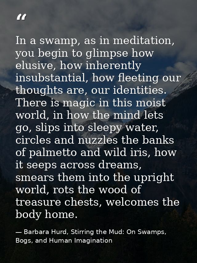 In a swamp, as in meditation, you begin to glimpse how elusive, how inherently insubstantial, how fleeting our thoughts  — Barbara Hurd, Stirring the Mud: On Swamps, Bogs, and Human Imagination