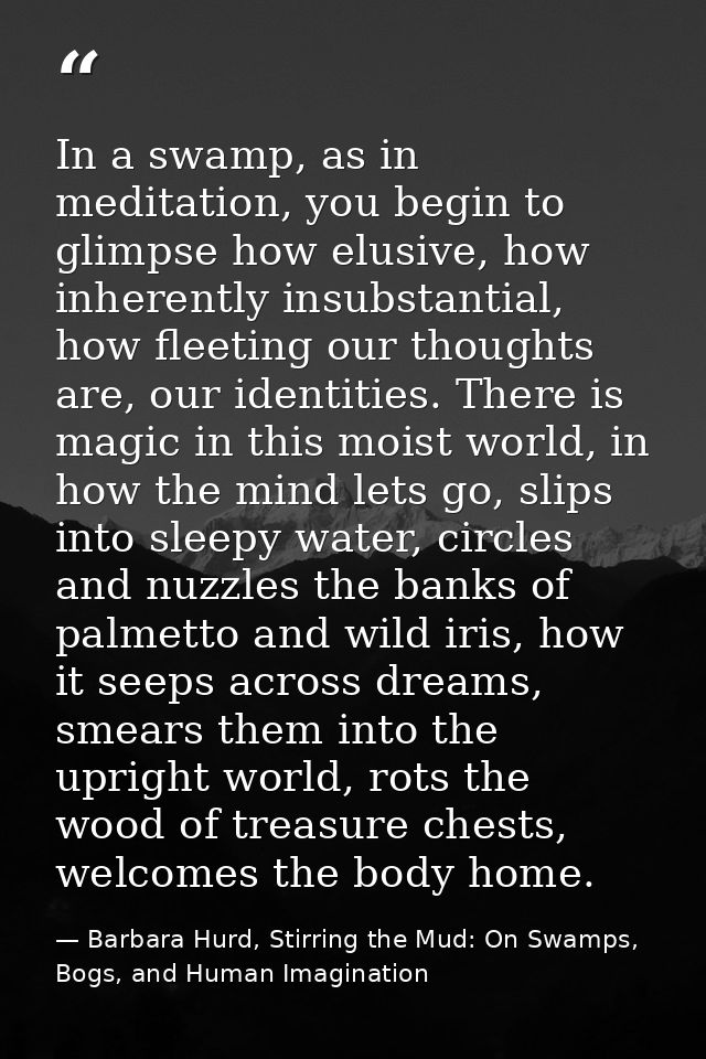 In a swamp, as in meditation, you begin to glimpse how elusive, how inherently insubstantial, how fleeting our thoughts  — Barbara Hurd, Stirring the Mud: On Swamps, Bogs, and Human Imagination