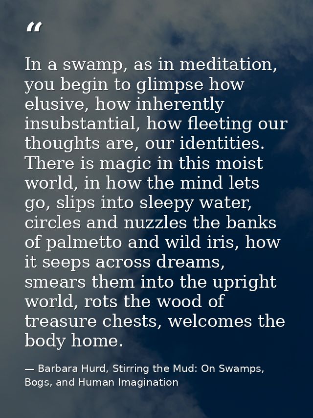 In a swamp, as in meditation, you begin to glimpse how elusive, how inherently insubstantial, how fleeting our thoughts  — Barbara Hurd, Stirring the Mud: On Swamps, Bogs, and Human Imagination