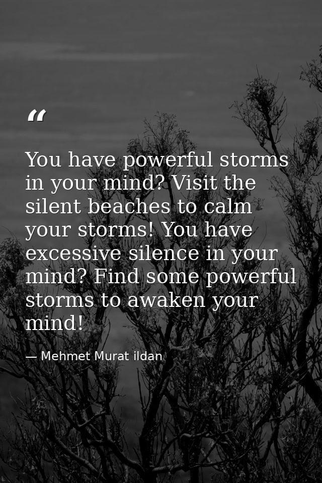 You have powerful storms in your mind? Visit the silent beaches to calm your storms! You have excessive silence in your  — Mehmet Murat ildan