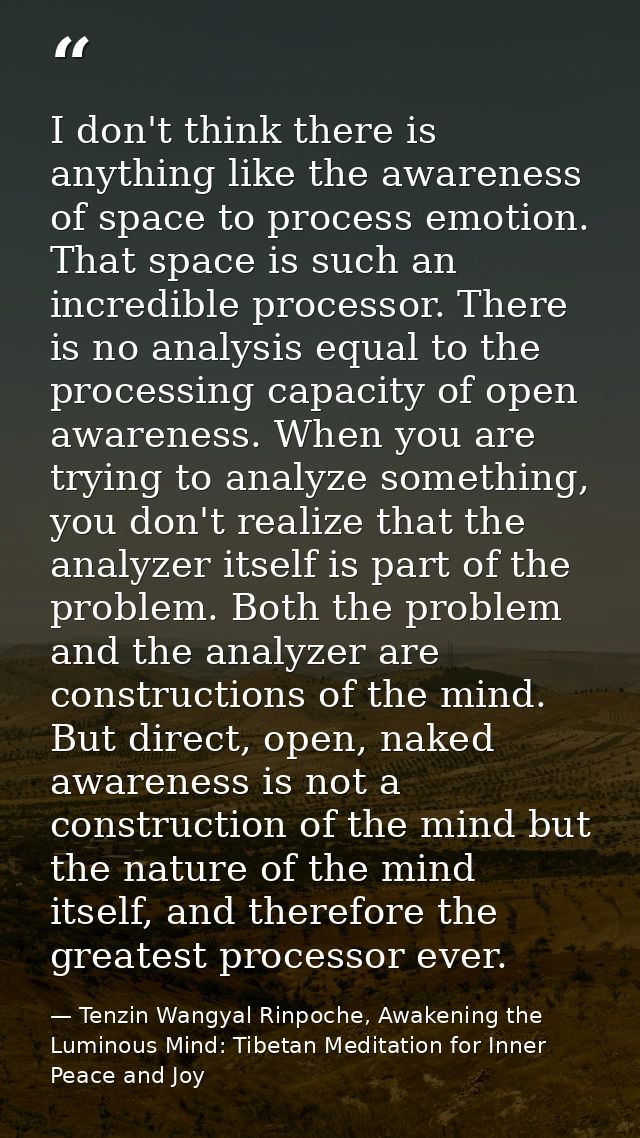 I don't think there is anything like the awareness of space to process emotion. That space is such an incredible process — Tenzin Wangyal Rinpoche, Awakening the Luminous Mind: Tibetan Meditation for Inner Peace and Joy