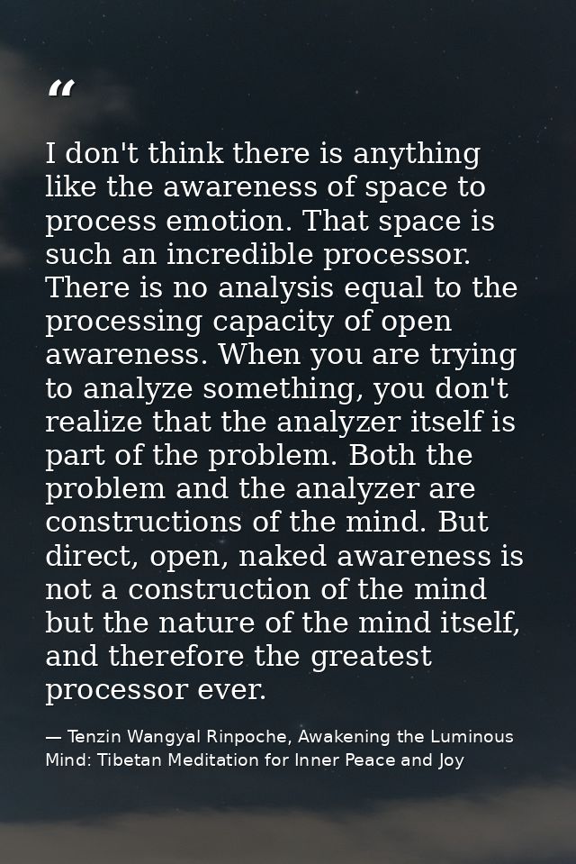 I don't think there is anything like the awareness of space to process emotion. That space is such an incredible process — Tenzin Wangyal Rinpoche, Awakening the Luminous Mind: Tibetan Meditation for Inner Peace and Joy