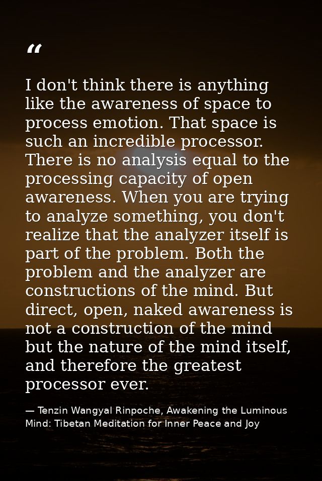 I don't think there is anything like the awareness of space to process emotion. That space is such an incredible process — Tenzin Wangyal Rinpoche, Awakening the Luminous Mind: Tibetan Meditation for Inner Peace and Joy