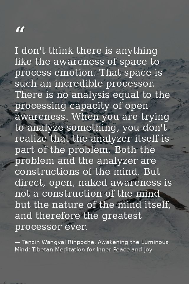 I don't think there is anything like the awareness of space to process emotion. That space is such an incredible process — Tenzin Wangyal Rinpoche, Awakening the Luminous Mind: Tibetan Meditation for Inner Peace and Joy