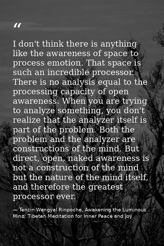 I don't think there is anything like the awareness of space to process emotion. That space is such an incredible process — Tenzin Wangyal Rinpoche, Awakening the Luminous Mind: Tibetan Meditation for Inner Peace and Joy