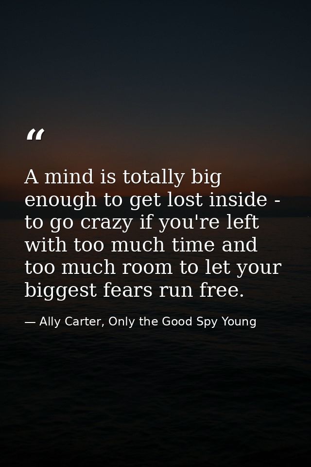 A mind is totally big enough to get lost inside - to go crazy if you're left with too much time and too much room to let — Ally Carter, Only the Good Spy Young