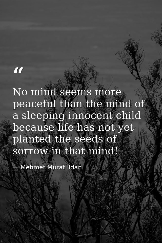 No mind seems more peaceful than the mind of a sleeping innocent child because life has not yet planted the seeds of sor — Mehmet Murat ildan