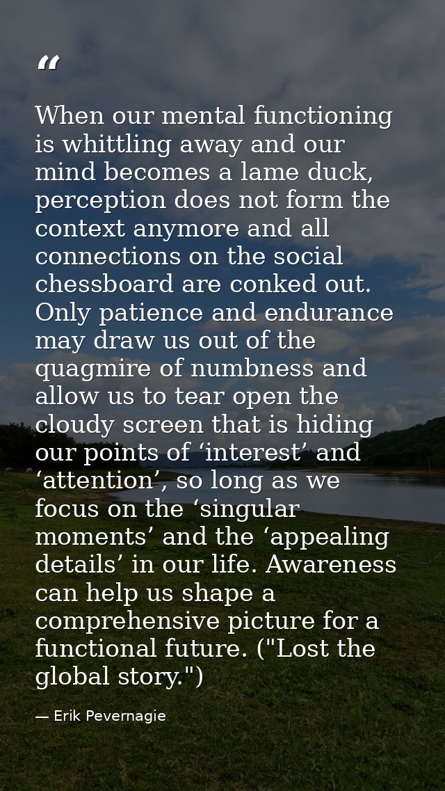 When our mental functioning is whittling away and our mind becomes a lame duck, perception does not form the context any — Erik Pevernagie