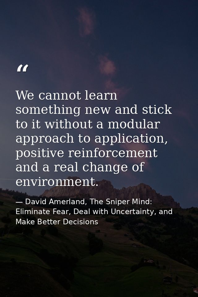 We cannot learn something new and stick to it without a modular approach to application, positive reinforcement and a re — David Amerland, The Sniper Mind: Eliminate Fear, Deal with Uncertainty, and Make Better Decisions