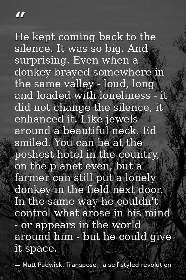 He kept coming back to the silence. It was so big. And surprising. Even when a donkey brayed somewhere in the same valle — Matt Padwick, Transpose - a self-styled revolution