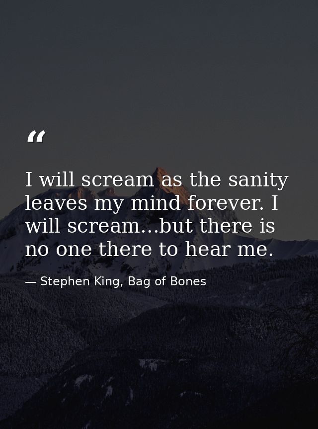I will scream as the sanity leaves my mind forever. I will scream...but there is no one there to hear me. — Stephen King, Bag of Bones
