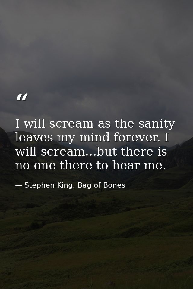 I will scream as the sanity leaves my mind forever. I will scream...but there is no one there to hear me. — Stephen King, Bag of Bones