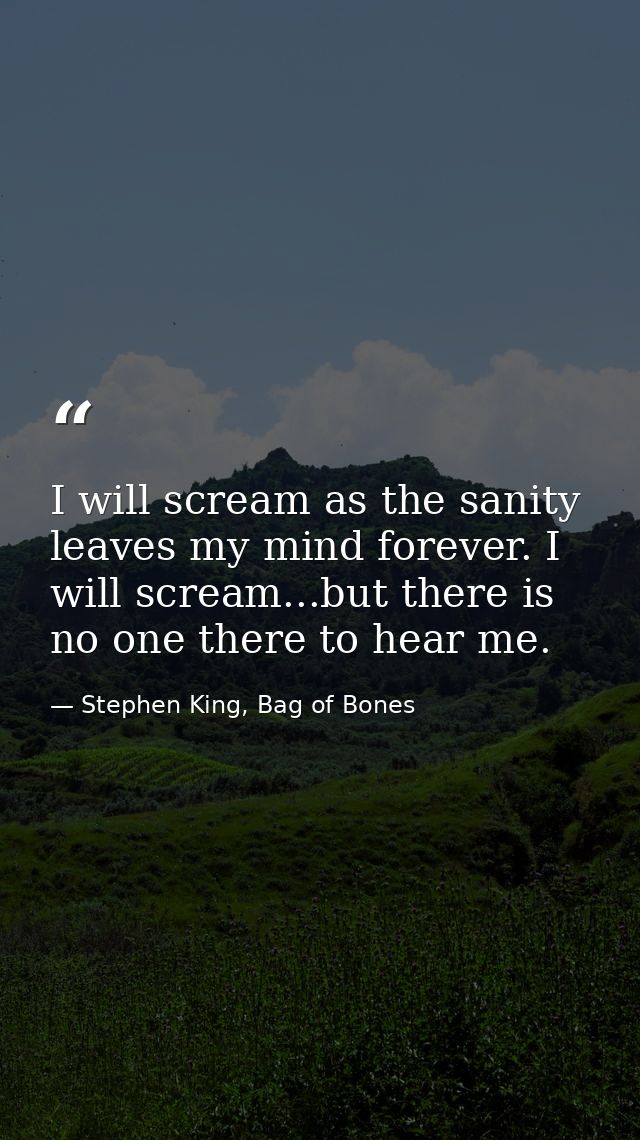 I will scream as the sanity leaves my mind forever. I will scream...but there is no one there to hear me. — Stephen King, Bag of Bones