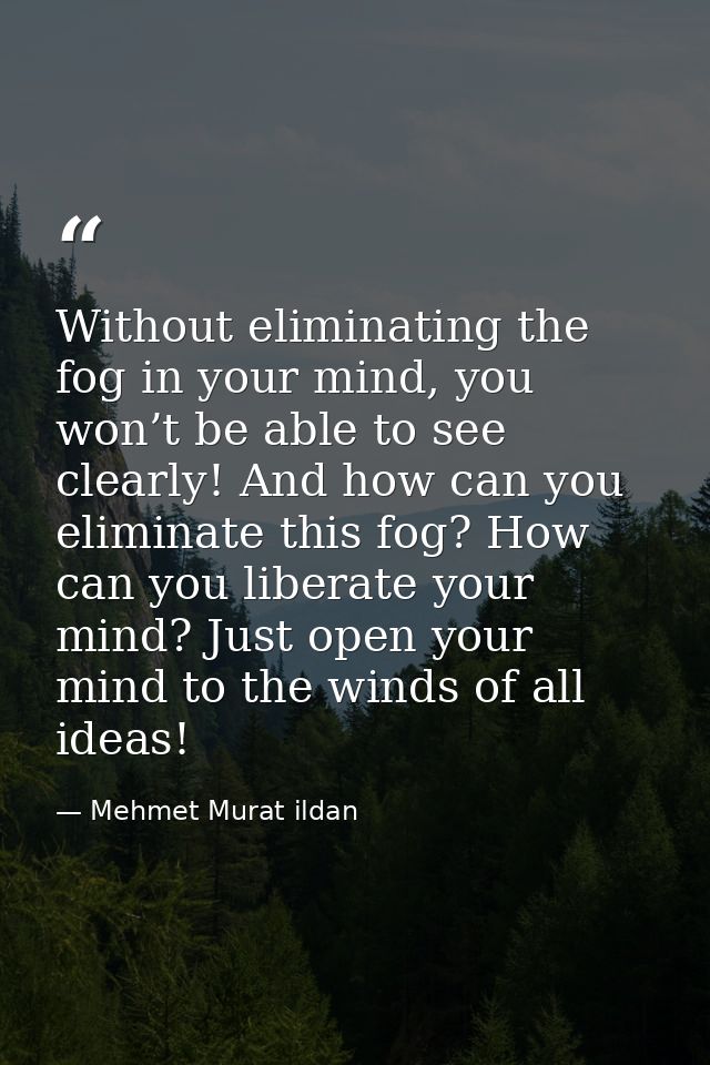 Without eliminating the fog in your mind, you won’t be able to see clearly! And how can you eliminate this fog? How can  — Mehmet Murat ildan