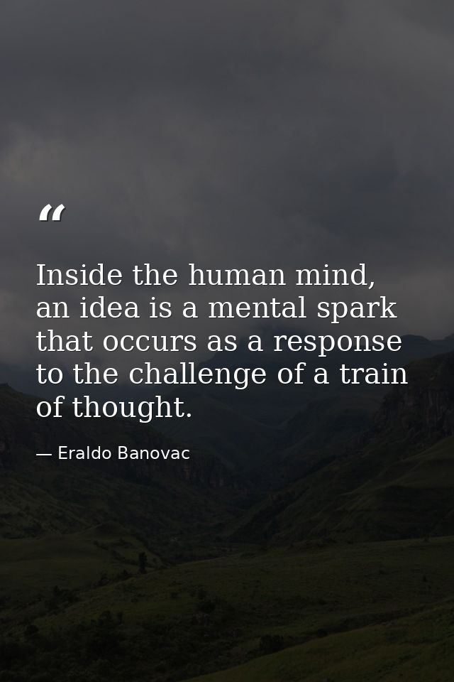 Inside the human mind, an idea is a mental spark that occurs as a response to the challenge of a train of thought. — Eraldo Banovac