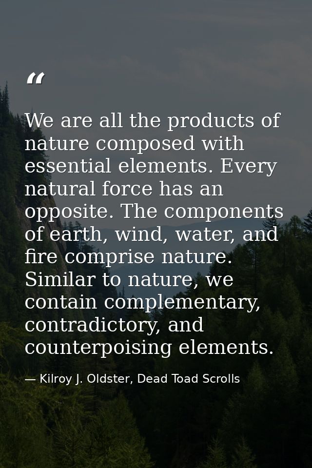We are all the products of nature composed with essential elements. Every natural force has an opposite. The components  — Kilroy J. Oldster, Dead Toad Scrolls