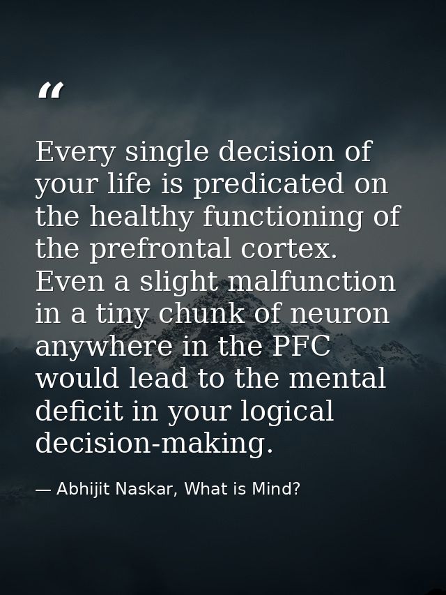 Every single decision of your life is predicated on the healthy functioning of the prefrontal cortex. Even a slight malf — Abhijit Naskar, What is Mind?