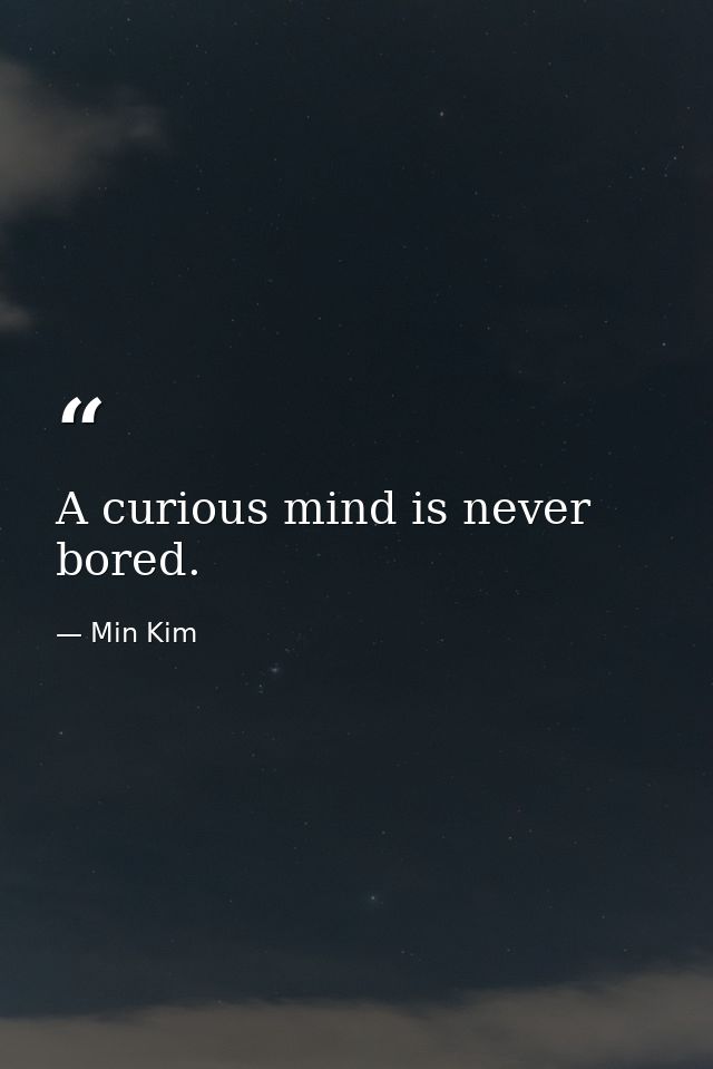 A curious mind is never bored. — Min Kim