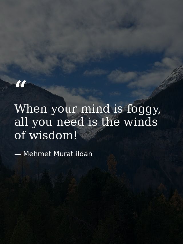 When your mind is foggy, all you need is the winds of wisdom! — Mehmet Murat ildan